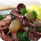Рецепты блюд из осьминога